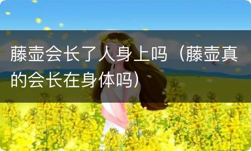 藤壶会长了人身上吗（藤壶真的会长在身体吗）