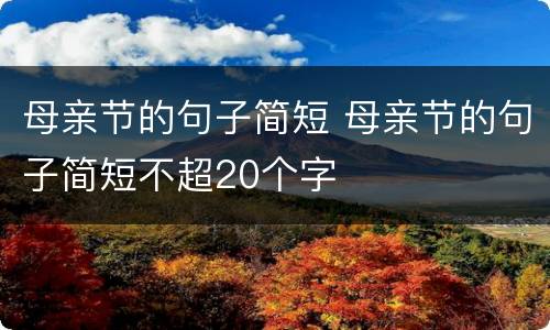 母亲节的句子简短 母亲节的句子简短不超20个字
