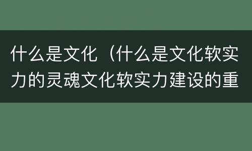 什么是文化（什么是文化软实力的灵魂文化软实力建设的重点）