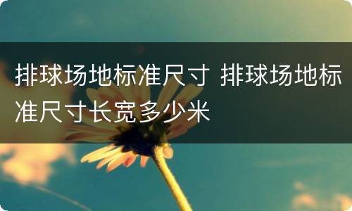 排球场地标准尺寸 排球场地标准尺寸长宽多少米
