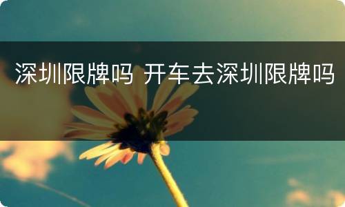 深圳限牌吗 开车去深圳限牌吗