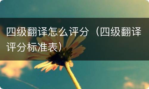 四级翻译怎么评分（四级翻译评分标准表）