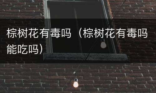 棕树花有毒吗（棕树花有毒吗能吃吗）
