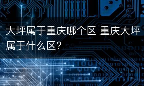 大坪属于重庆哪个区 重庆大坪属于什么区?