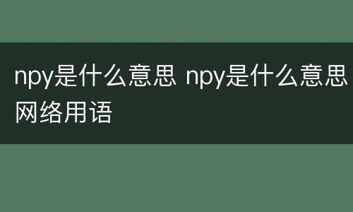 npy是什么意思 npy是什么意思网络用语
