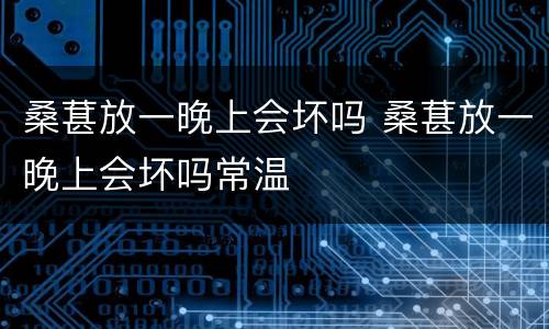 桑葚放一晚上会坏吗 桑葚放一晚上会坏吗常温