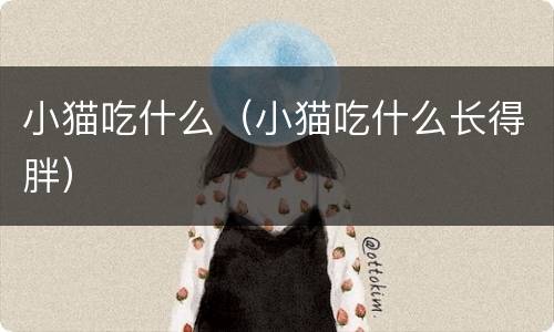 小猫吃什么（小猫吃什么长得胖）