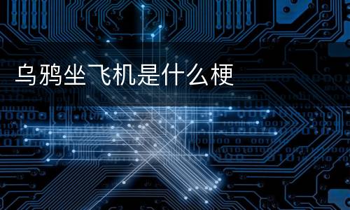 乌鸦坐飞机是什么梗