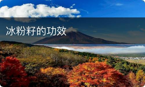 冰粉籽的功效