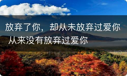 放弃了你，却从未放弃过爱你 从来没有放弃过爱你