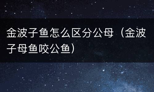 金波子鱼怎么区分公母（金波子母鱼咬公鱼）