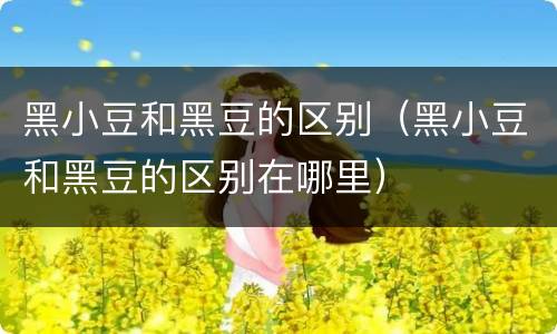 黑小豆和黑豆的区别（黑小豆和黑豆的区别在哪里）