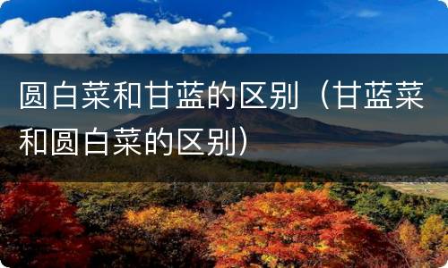 圆白菜和甘蓝的区别（甘蓝菜和圆白菜的区别）