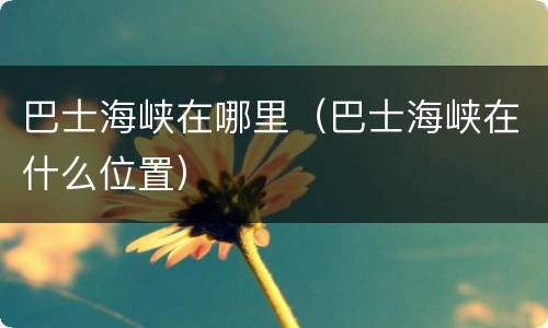 巴士海峡在哪里（巴士海峡在什么位置）