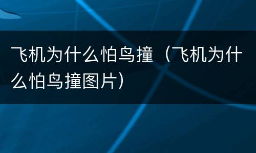 飞机为什么怕鸟撞（飞机为什么怕鸟撞图片）