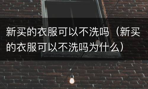 新买的衣服可以不洗吗（新买的衣服可以不洗吗为什么）