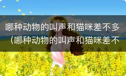 哪种动物的叫声和猫咪差不多（哪种动物的叫声和猫咪差不多?小鸡和猎豹）