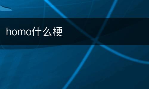 homo什么梗