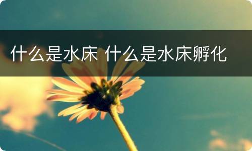 什么是水床 什么是水床孵化