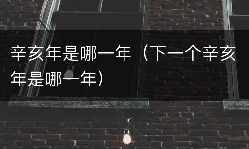辛亥年是哪一年（下一个辛亥年是哪一年）
