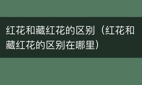红花和藏红花的区别（红花和藏红花的区别在哪里）