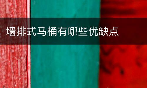 墙排式马桶有哪些优缺点