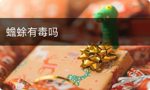 蟾蜍有毒吗