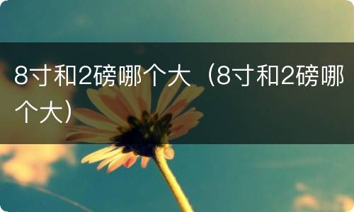 8寸和2磅哪个大（8寸和2磅哪个大）