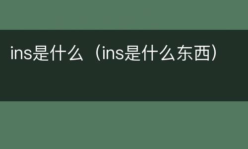 ins是什么（ins是什么东西）