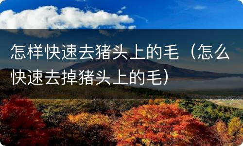怎样快速去猪头上的毛（怎么快速去掉猪头上的毛）