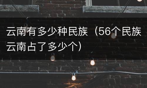 云南有多少种民族（56个民族云南占了多少个）