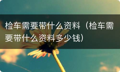 检车需要带什么资料（检车需要带什么资料多少钱）