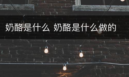 奶酪是什么 奶酪是什么做的