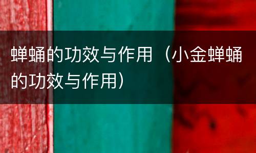 蝉蛹的功效与作用（小金蝉蛹的功效与作用）