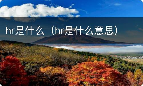 hr是什么（hr是什么意思）