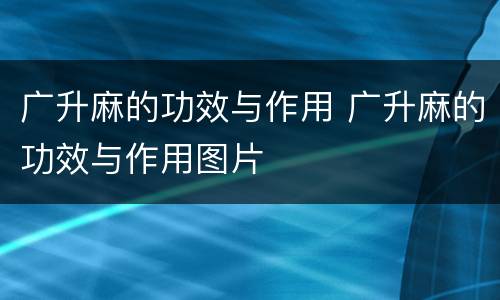 广升麻的功效与作用 广升麻的功效与作用图片