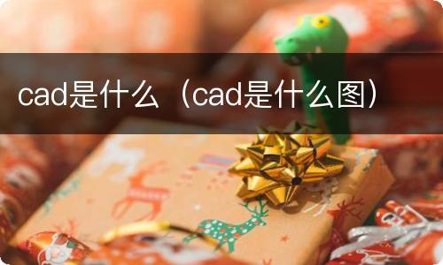 cad是什么（cad是什么图）