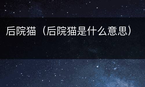 后院猫（后院猫是什么意思）