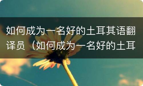 如何成为一名好的土耳其语翻译员（如何成为一名好的土耳其语翻译员作文）