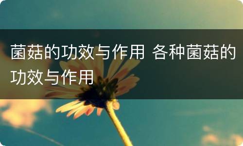 菌菇的功效与作用 各种菌菇的功效与作用