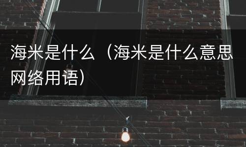海米是什么（海米是什么意思网络用语）