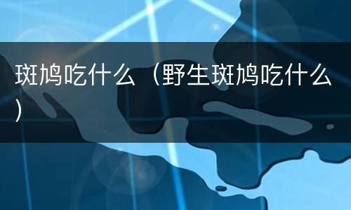 斑鸠吃什么（野生斑鸠吃什么）