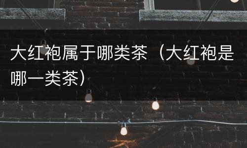 大红袍属于哪类茶（大红袍是哪一类茶）