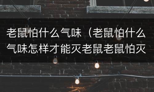 老鼠怕什么气味（老鼠怕什么气味怎样才能灭老鼠老鼠怕灭害灵吗?）