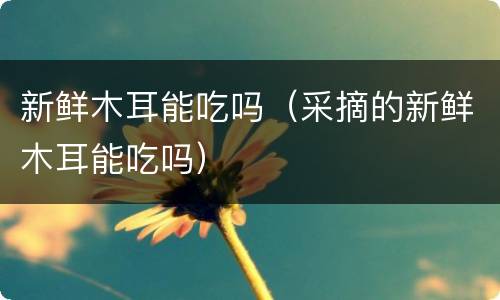 新鲜木耳能吃吗（采摘的新鲜木耳能吃吗）