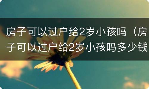 房子可以过户给2岁小孩吗（房子可以过户给2岁小孩吗多少钱）