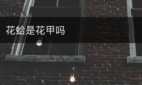 花蛤是花甲吗