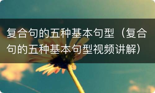 复合句的五种基本句型（复合句的五种基本句型视频讲解）