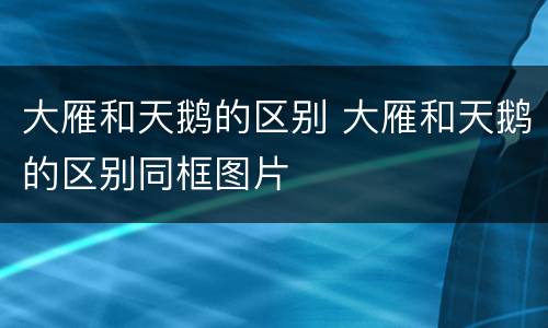 大雁和天鹅的区别 大雁和天鹅的区别同框图片