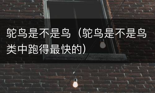 鸵鸟是不是鸟（鸵鸟是不是鸟类中跑得最快的）